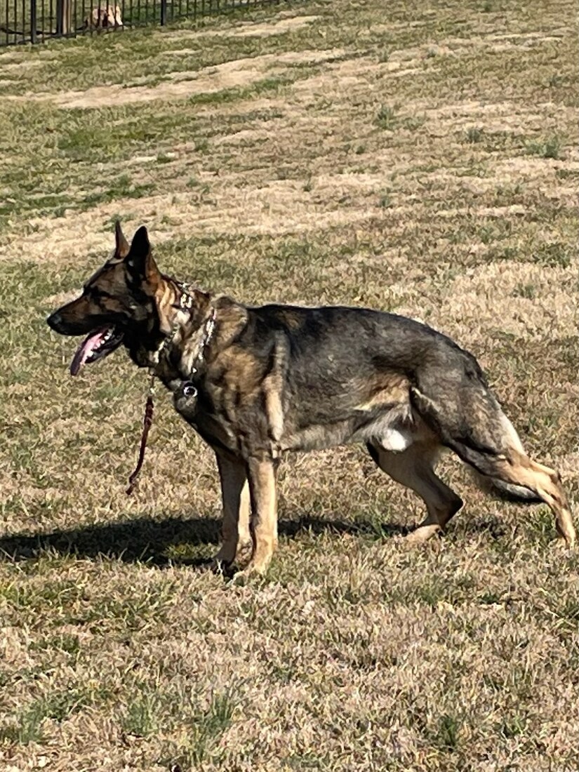 Mayer Mayhem's Assault (Salt)