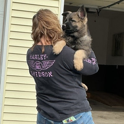 Blue puppy boy Long coat